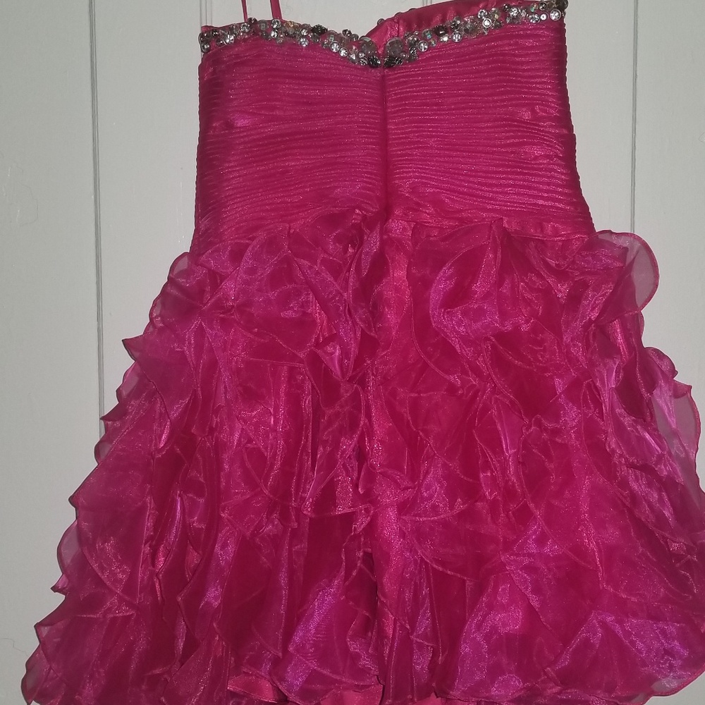 Pink Tutu with silver shoe and  Assessor